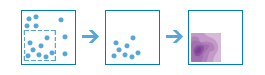 Three-part diagram that results with a focus on a particular set of points