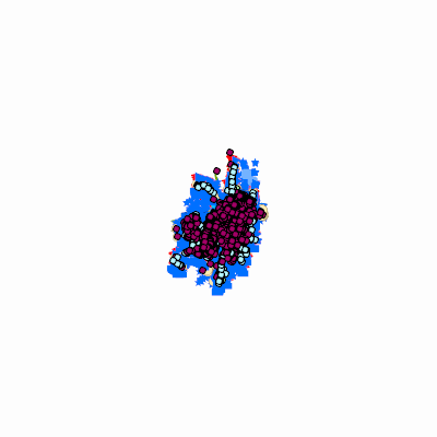 Export Image