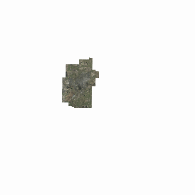 Export Image