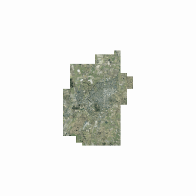 Export Image