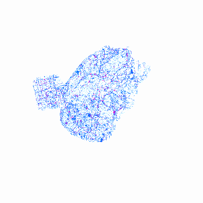 Export Image